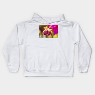 Dahlia bud with dew drops on it Kids Hoodie